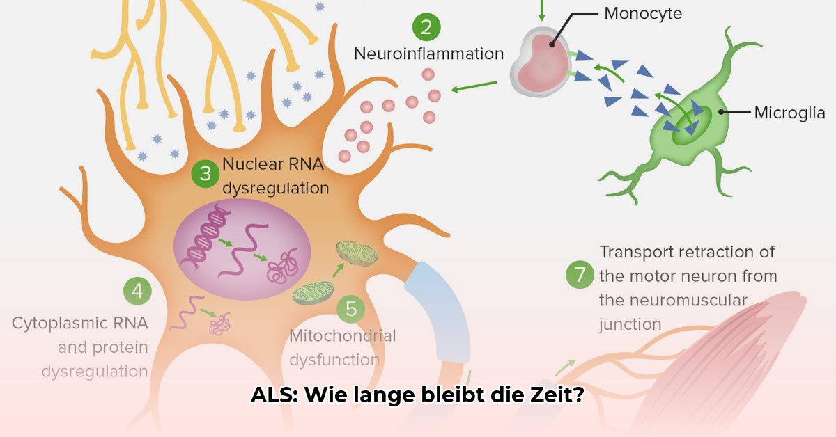 als-krankheit-lebenserwartung